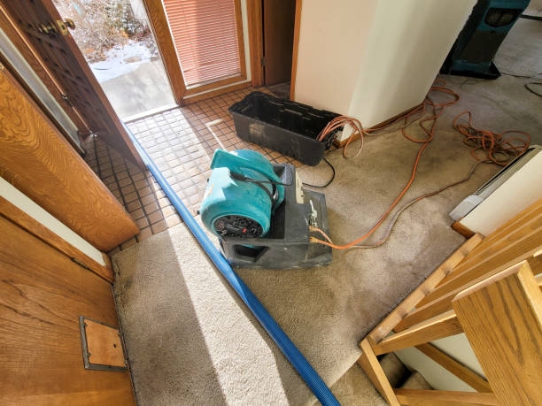 Best Flood restoration services  in Athens, TN