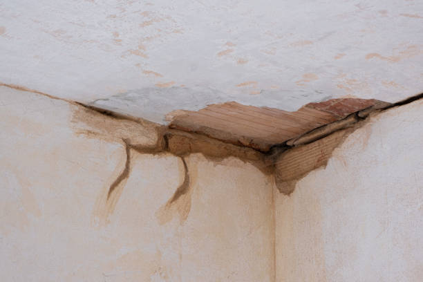 Best Water damage cleanup near me  in Athens, TN