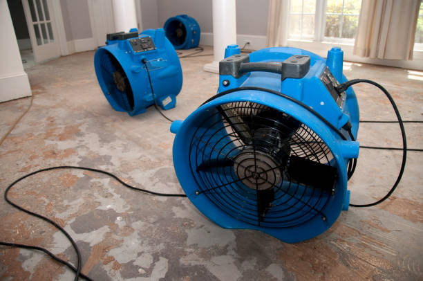 Best Fire Damage Restoration  in Athens, TN